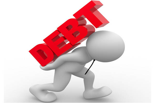 domestic debt