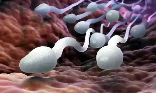 sperm