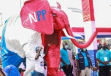 NPP elections 2026: 47 aspirants file nominations as 3 drop out NPP elections 2026, partisan judiciary, committees, NPP