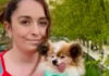 The world’s likely oldest dog finds new home after outliving owner