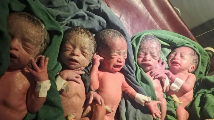 quintuplets