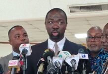 Sedina Tamakloe was not in prison custody for 15 days after return to Ghana – Minority prison custody