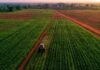 Can agricultural knowledge become Ghana’s next export?