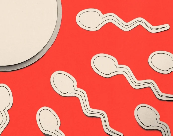 infertility