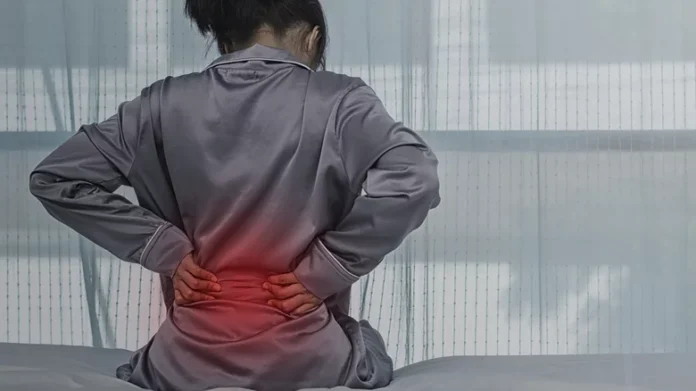 lower back