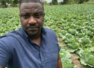 Agric Minister discloses free farm inputs distribution underway for 2026 cropping season farm inputs
