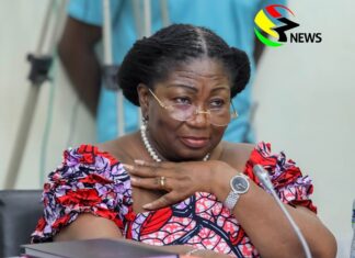 World Population Day: Ghana’s youth is a ‘historic opportunity’ for growth – Patricia Appiagyei world population