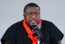 NPP to stage nationwide protest over Sedina acquittal Sedina acquittal