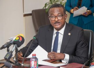 Carbon Financing: Africa Must Build Bankable Climate Projects – Ricketts Hagan bankable climate projects, Ricketts-Hagan
