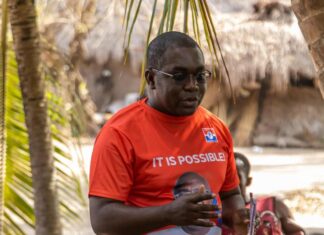 Dr Charles Dwamena: The experienced hand the NPP needs for 2028 Dr Charles Dwamena