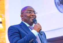 Our intelligence agencies won’t chase citizens for insulting me – Bawumia intelligence agencies
