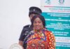 Veep Jane Naana urges ECOWAS to act faster on climate change, displacement and insecurity Jane Naana