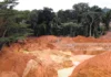 GoldBod launches GH¢35m project to reclaim Tano Nimri Forest Reserve Tano Nimri Forest