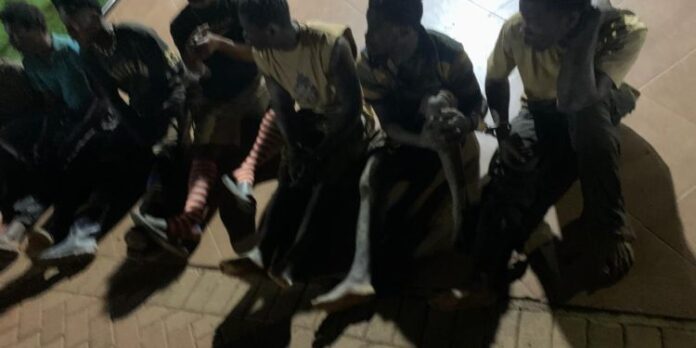 illegal miners