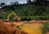GoldBod partners military to restore galamsey-damaged Tano Nimri Forest Nimri Forest