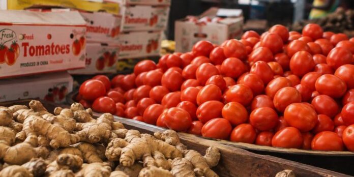 tomatoes